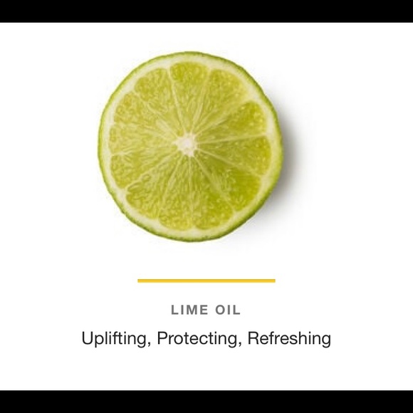 LIME AND AVOCADO ORGANIC SEA SALT FACE SCRUB 4oz (Lush Recipe) - Picture 3 of 5